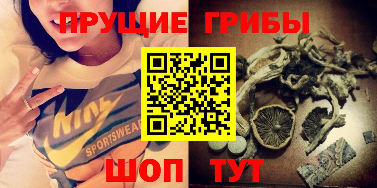 Псилоцибиновые грибы ЛСД  Вход с VPN  Курчалой  Псилоцибиновые грибы Cubensis 