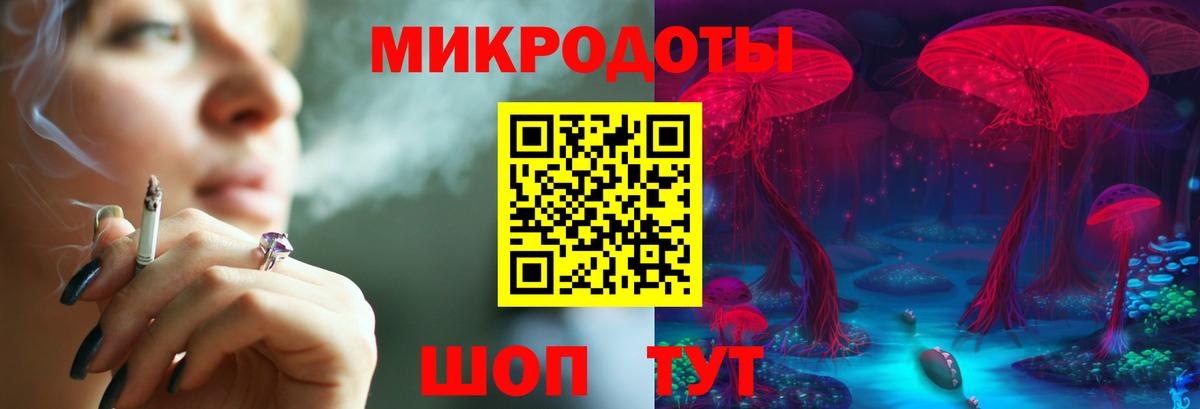 Галлюциногенные грибы Cubensis Курчалой